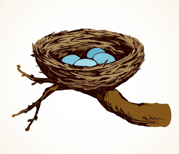Nest. Vector tekening — Stockvector