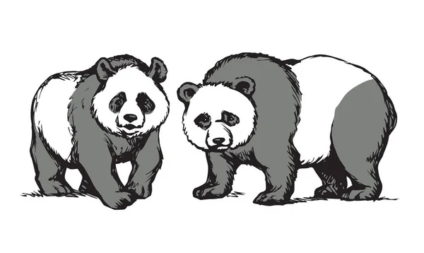 熊猫。矢量绘图 — 图库矢量图片