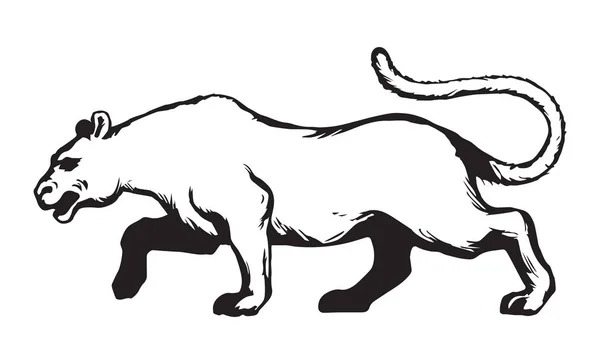Пантера. Векторний малюнок — стоковий вектор