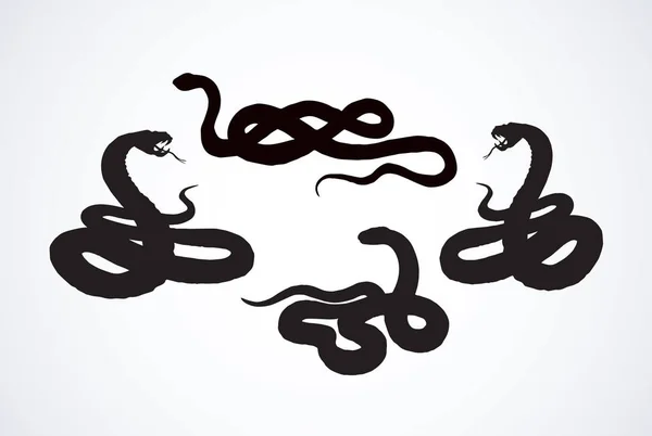 Un serpent. Dessin vectoriel — Image vectorielle