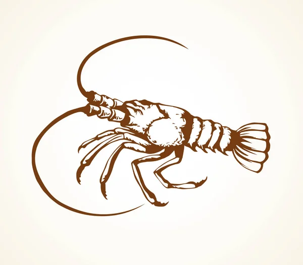 Lobster. Gambar vektor - Stok Vektor