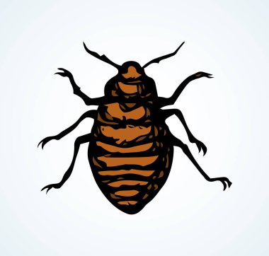 Böceği. Larva. Vektör çizim