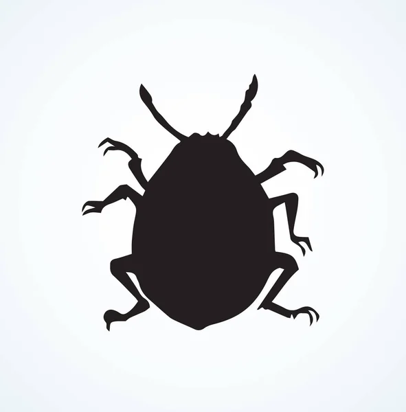 Escarabajo de Colorado. Dibujo vectorial — Archivo Imágenes Vectoriales