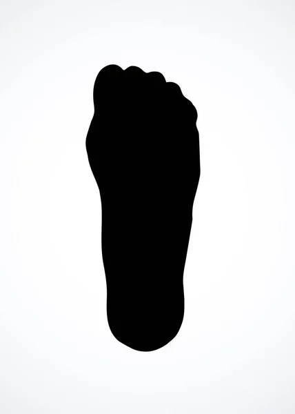 Os du pied. Dessin vectoriel — Image vectorielle