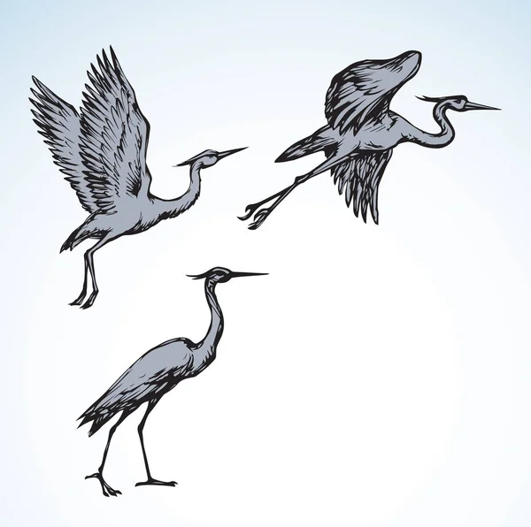 Stork. Vector drawing — Stock Vector