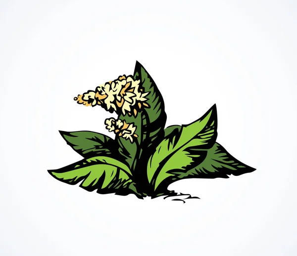 熱帯の花ブッシュ。ベクトル描画 — ストックベクタ