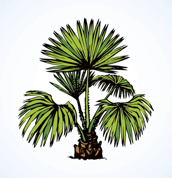 Arbusto tropical. Desenho vetorial —  Vetores de Stock