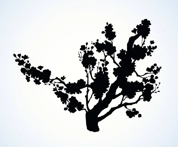 Arbre à fleurs printanières. Dessin vectoriel — Image vectorielle