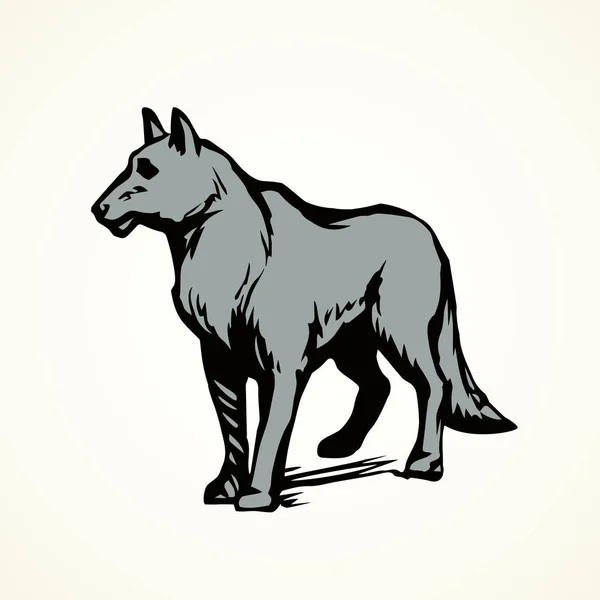 Le loup. Dessin vectoriel — Image vectorielle