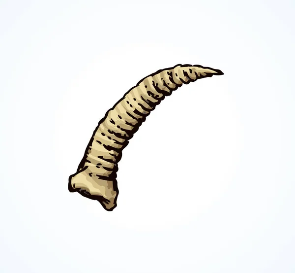 Goat horn. Vector tekening — Stockvector