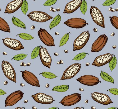 Kakao meyveleri. Vektör çizim