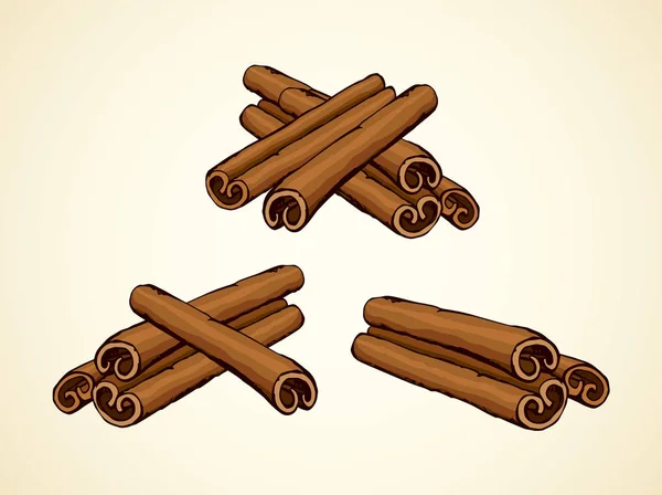 Cinnamon. Vector drawing — Stock Vector