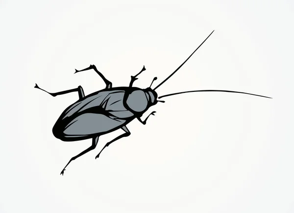 Cockroach. Vector drawing — Stock Vector