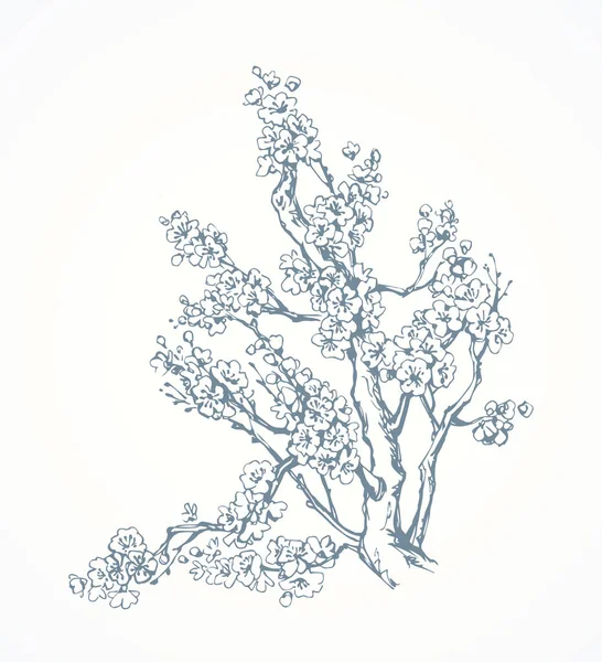 Árbol con flores de primavera. Dibujo vectorial — Vector de stock