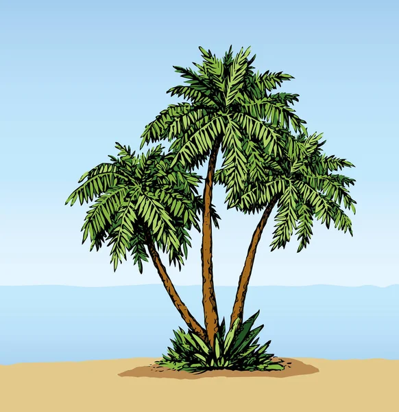 Palm op strand. Vector tekening — Stockvector