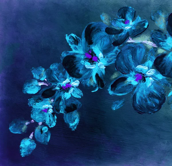 Orchid flowers. Abstract oil painting — Stock Photo, Image