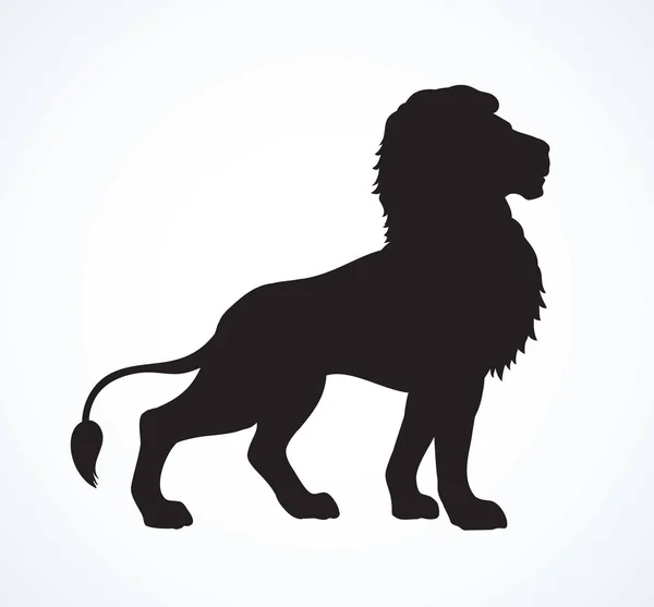 Lion. Vector drawing — Stock Vector