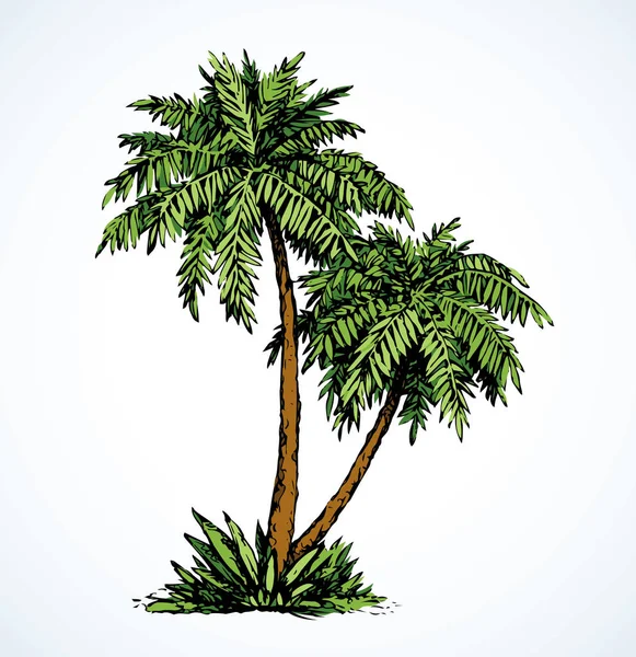 Να Palm στην παραλία. Διάνυσμα σχεδίασης — Διανυσματικό Αρχείο