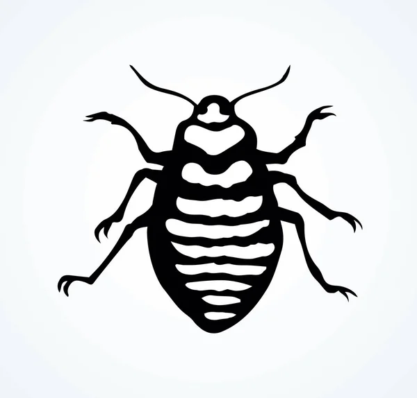 Böceği. Larva. Vektör çizim — Stok Vektör