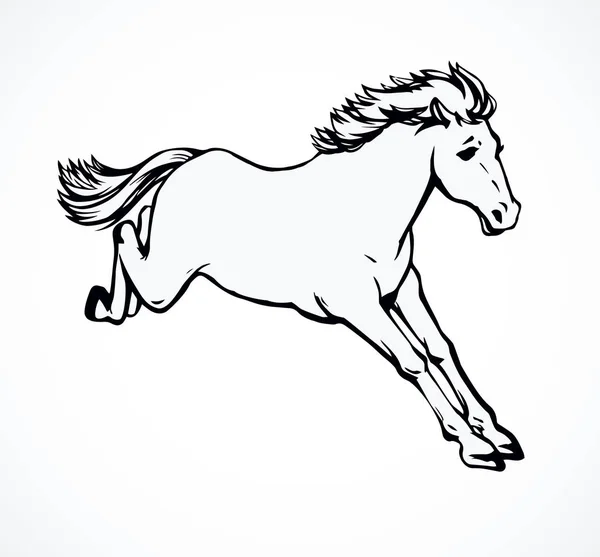 Paardenrennen. Vector tekening — Stockvector