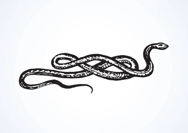Serpente. Desenho vetorial — Vetor de Stock