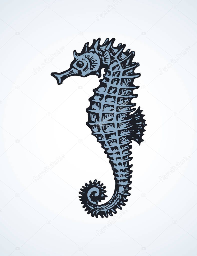 Small Syngnathidae on light backdrop. Freehand dark ink hand drawn funny sealife pet logotype emblem insignia sketchy in retro etch scribble print style pen on paper space for text. Side detail view
