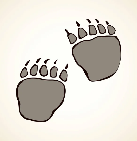 クマの足跡。ベクトル描画 — ストックベクタ