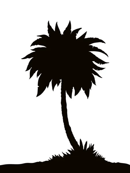 Palm op strand. Vector tekening — Stockvector