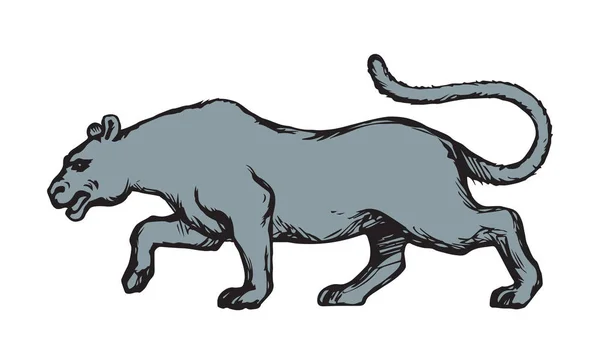 Panther. Wektor rysunek — Wektor stockowy