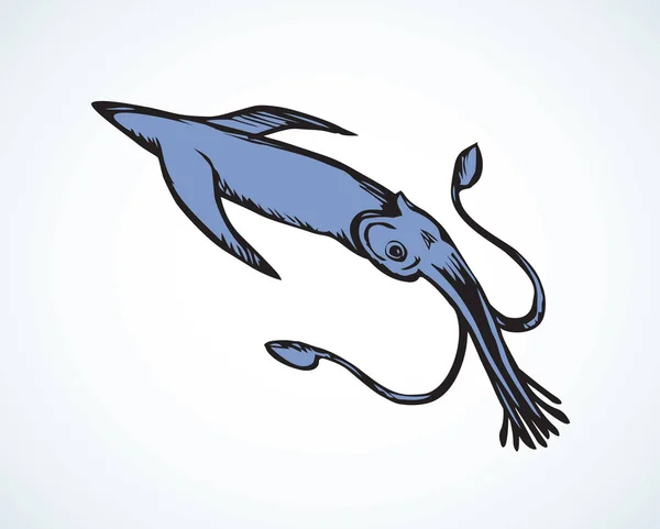 Tintenfisch. Vektorzeichnung — Stockvektor