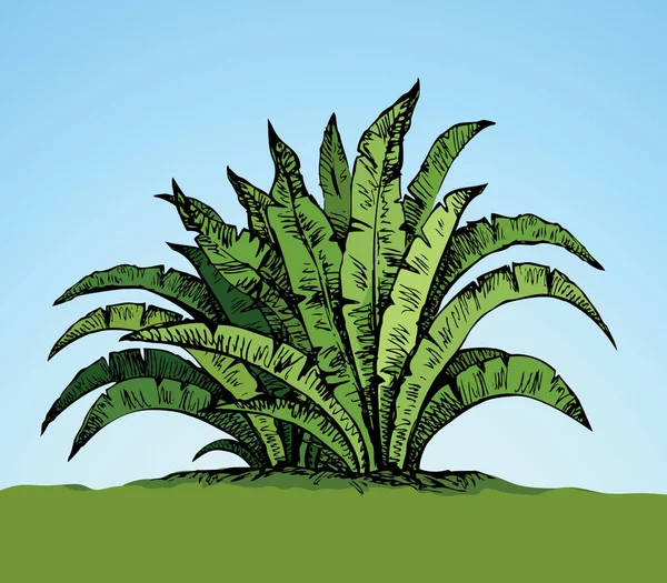 Arbusto tropical. Dibujo vectorial — Vector de stock