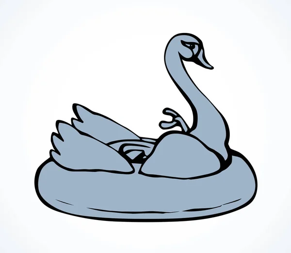 Swan. Attraktion för simning. Vektor ritning — Stock vektor