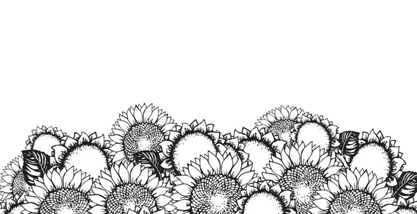 Vektorillustration. Sonnenblumen — Stockvektor