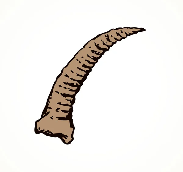 Goat horn. Vector tekening — Stockvector