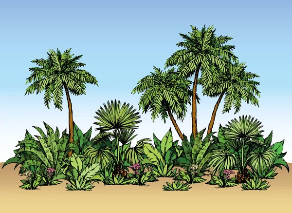Floresta de palmas. Desenho vetorial — Vetor de Stock