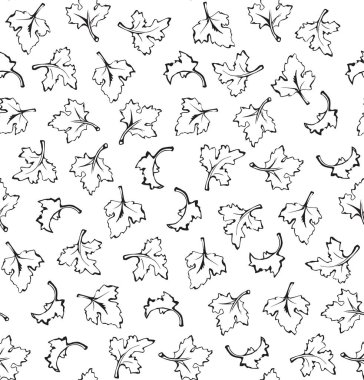 Maydanoz. Vektör arka plan