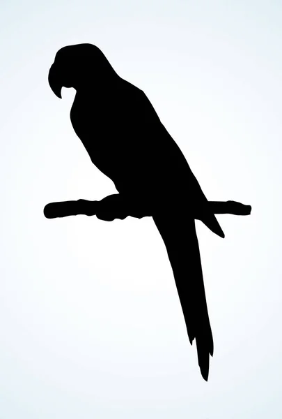 Icono pájaro loro. Dibujo vectorial — Vector de stock