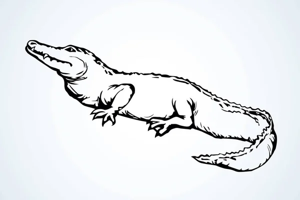 Crocodilo. Sinal de ícone de desenho vetorial — Vetor de Stock