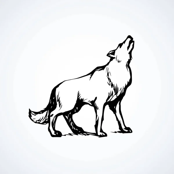 Wolf. Vector tekening — Stockvector