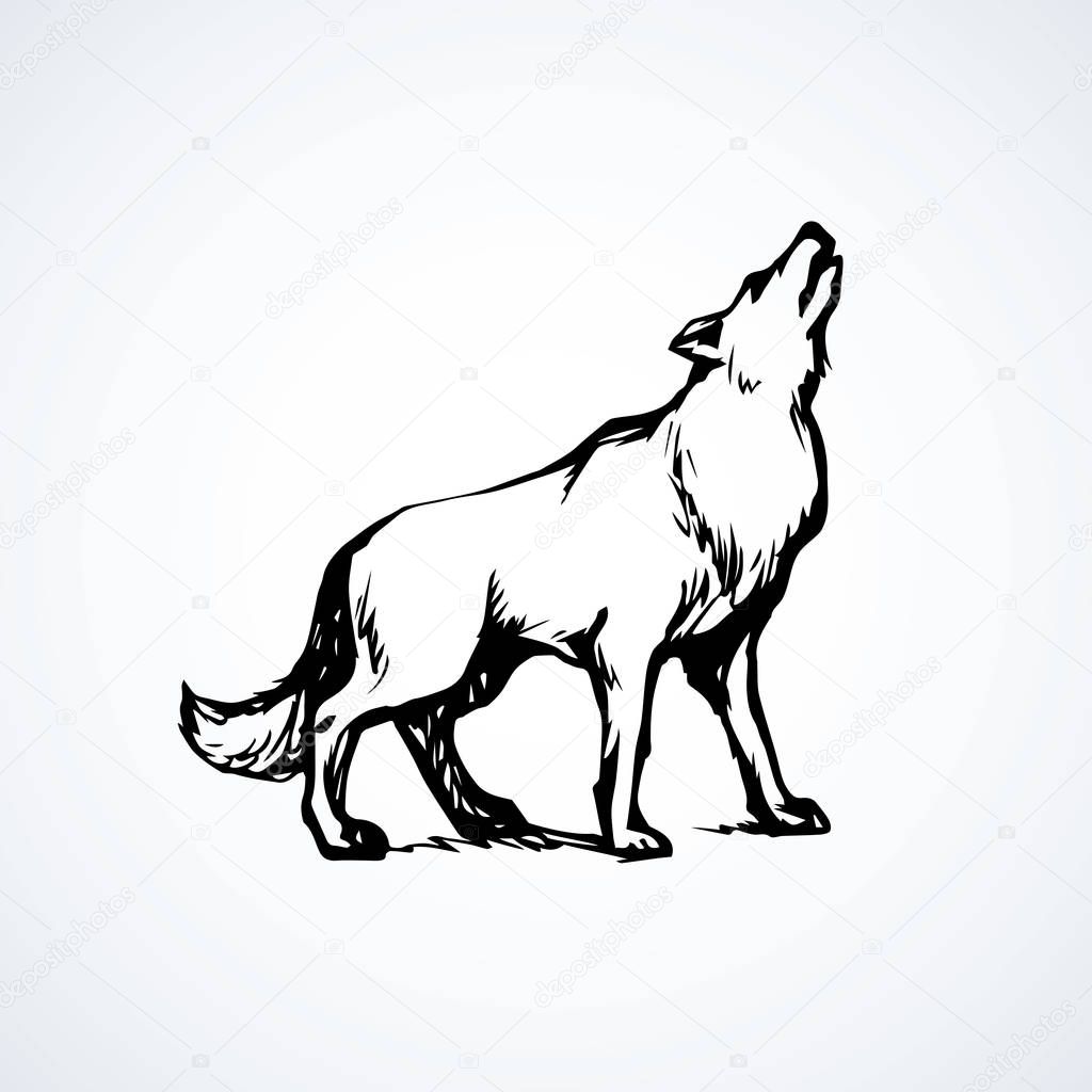 Furry gray canidae lagopus lupus stand on light sky backdrop. Freehand line black ink hand drawn picture sketchy in art retro doodle etching style pen on paper. Closeup side view with space for text