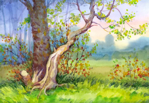 Akvarell táj. Naplemente az erdőben — Stock Fotó