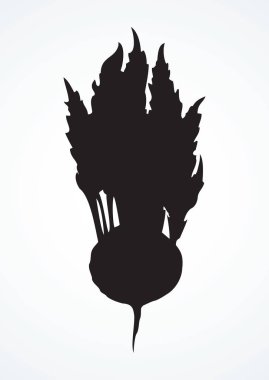 Kohlrabi, ne? Vektör çizim simgesi işareti