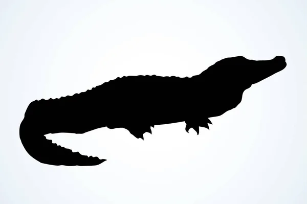 Crocodile. signe d'icône de dessin vectoriel — Image vectorielle