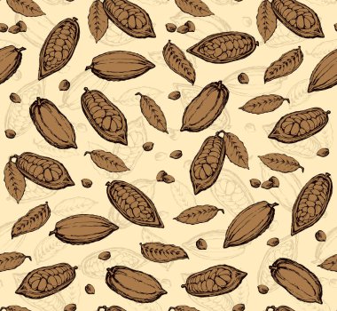 Kakao meyveleri. Vektör çizim