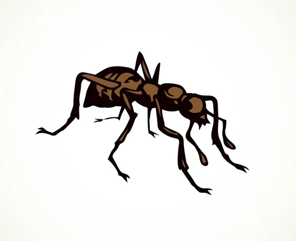 蚂蚁矢量绘图 — 图库矢量图片