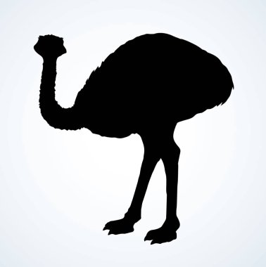 Devekuşu. Vektör çizim simgesi