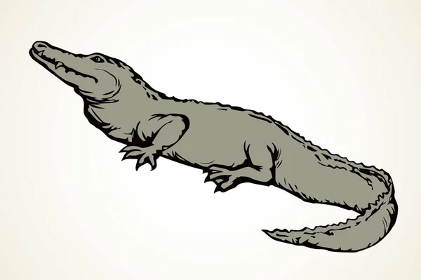 Crocodilo. Sinal de ícone de desenho vetorial —  Vetores de Stock