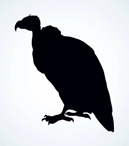 Avvoltoio. Segno icona disegno vettoriale — Vettoriale Stock