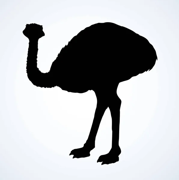 Vai avestruz. Ícone de desenho vetorial — Vetor de Stock
