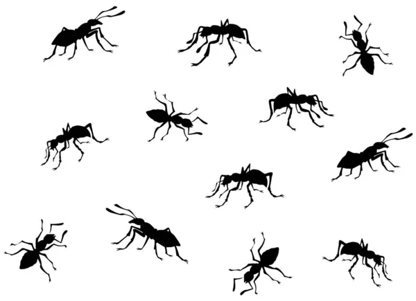 Ant. Vector drawing — Stock Vector